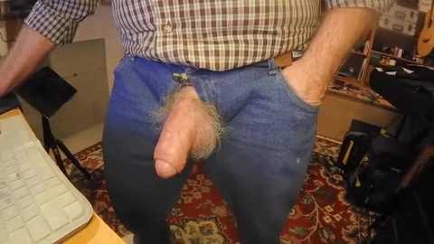 Video of a man in a plaid shirt, blue jeans with a bushy pubic area visible, standing in a cluttered room with a red-patterned carpet, furniture, and papers on a table.