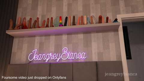 Video of a modern, upscale bedroom with a sleek, light-colored, padded headboard. Above, a neon sign reads \"Jeanrey Bianca.\" A shelf holds various colorful dildos, and a window with a curtain is partially visible.