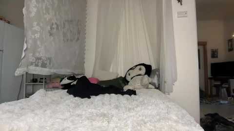 A video shows a black dog with a pink collar lying on a white fluffy bed, surrounded by white sheer curtains and plush toys. The background reveals a cluttered bedroom with a TV and a shelf.