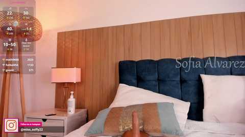 Video of a modern bedroom with a dark blue, tufted headboard, white bedding, wooden nightstands, a table lamp, and a large, colorful pillow.