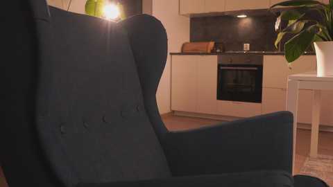Video of a modern kitchen with a dark blue armchair, beige cabinets, stainless steel oven, green potted plant, and warm lighting.