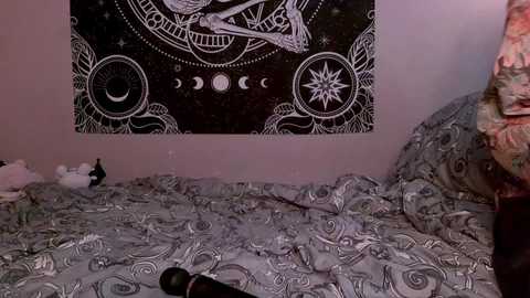 Video of a bedroom with a messy bed covered in a patterned blanket. A black tapestry with white designs, including a skull, crescent moons, and stars, hangs on the wall. A stuffed animal and a black object are on the bed.