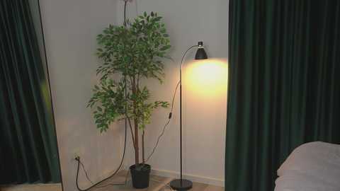 A video of a modern room corner featuring a tall, green artificial plant in a black pot, a black floor lamp with a warm light, and dark green curtains. The room has a clean, minimalist aesthetic.