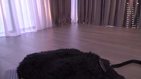 blissdilley free recording from 2026-02-19 01:40:00