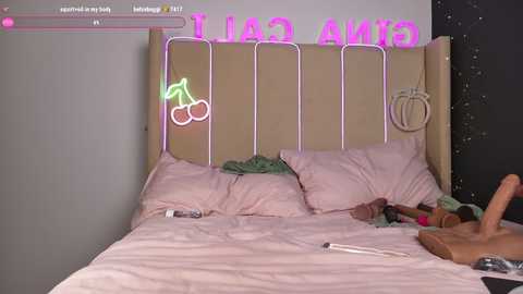 ginacali free recording from 2026-02-19 00:38:00