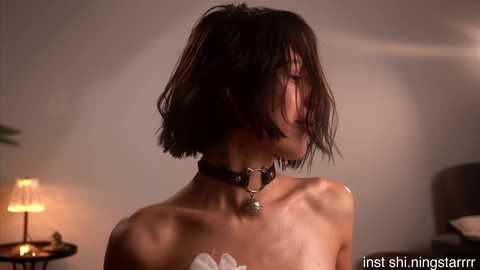 shiningstarrr free recording from 2026-02-19 00:39:00