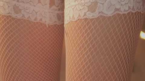 Video of two legs clad in sheer, beige fishnet stockings with lace trim at the top, showcasing intricate diamond patterns.