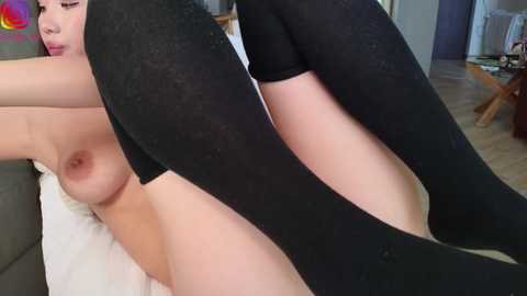 swt_shadow free recording from 2026-02-19 00:52:00