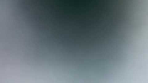 A blurred, grayscale video featuring a misty, indistinct landscape with no discernible objects or people. The image has a hazy, out-of-focus quality, with shades of gray and subtle gradients of light and dark.